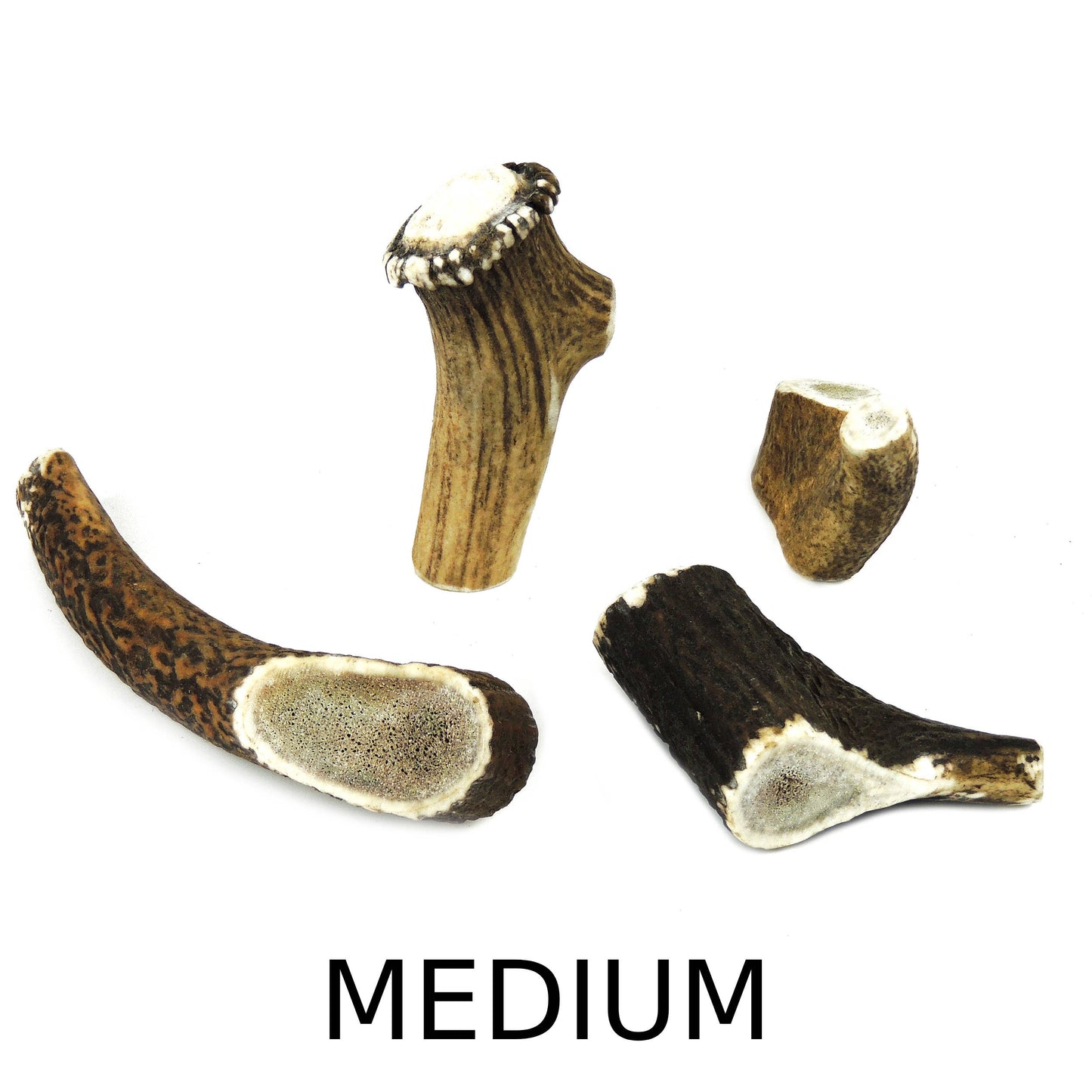 Deer Antler Medium - 50 to 100g