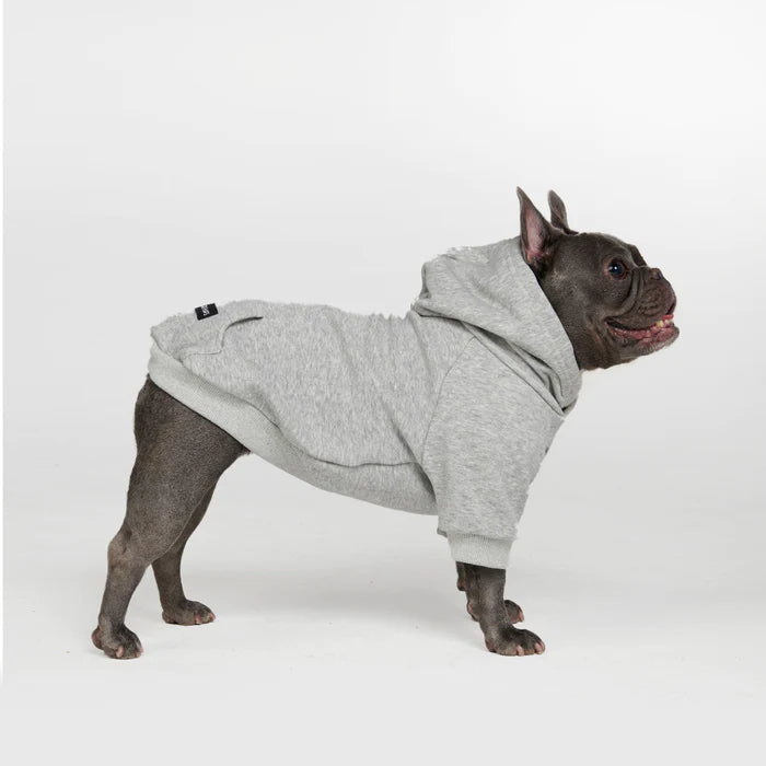 
                  
                    Essential Dog Hoodie - Light Grey
                  
                