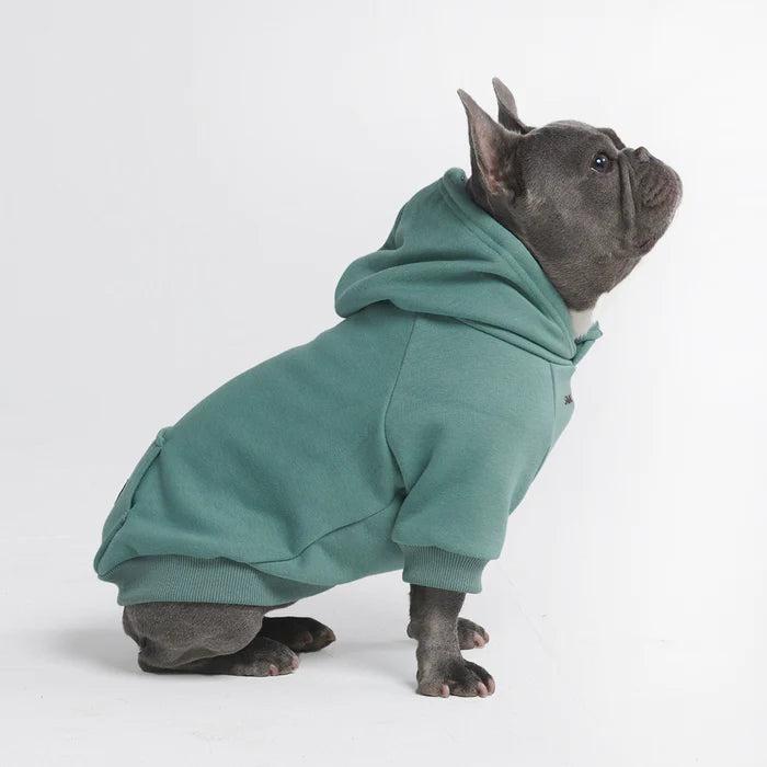 
                  
                    Essential Dog Hoodie - Teal
                  
                