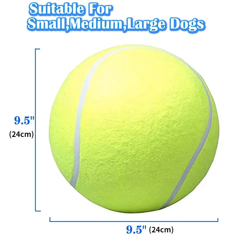 
                  
                    Dog  Toys, Tennis Ball
                  
                