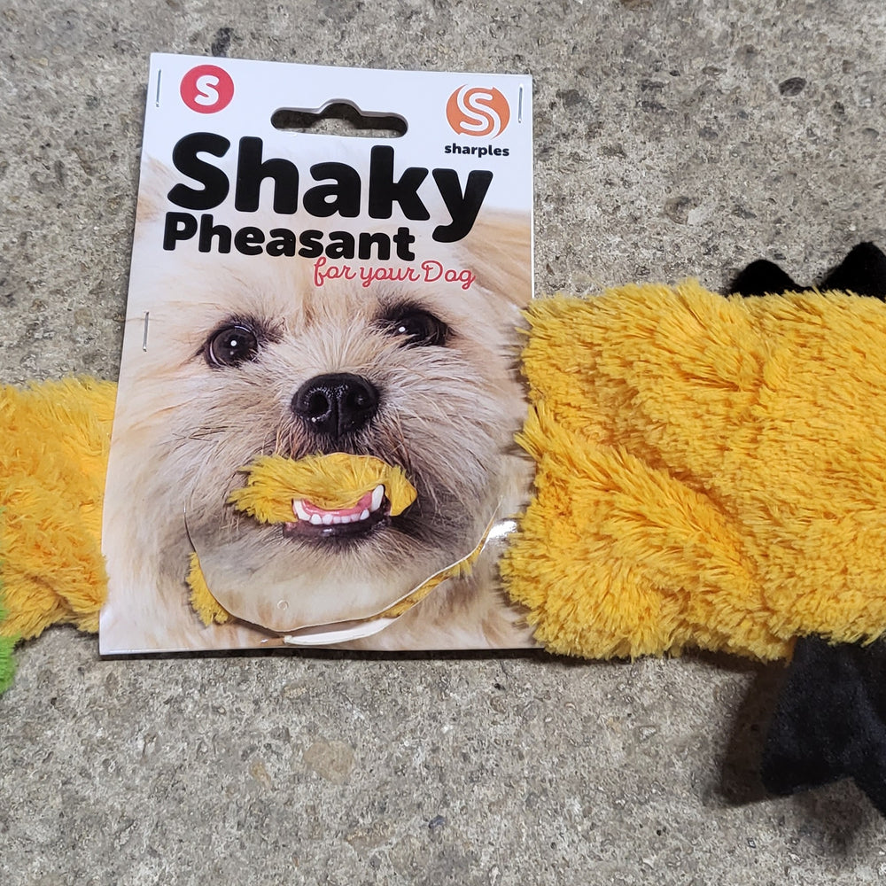 Shake a Pheasant Small 30.5cm