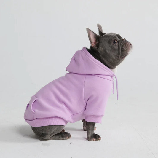 Essential Dog Hoodie - Orchid Purple