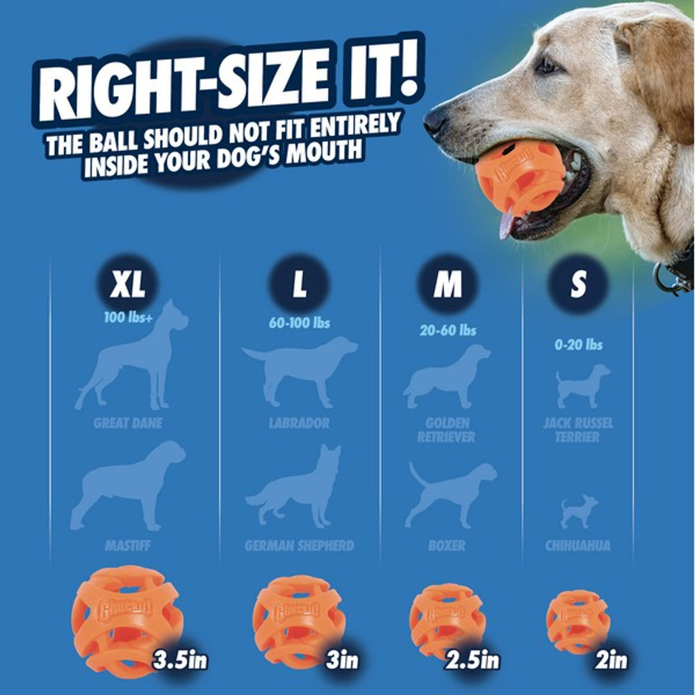 
                  
                    Chuckit! Air Fetch Stick Small
                  
                