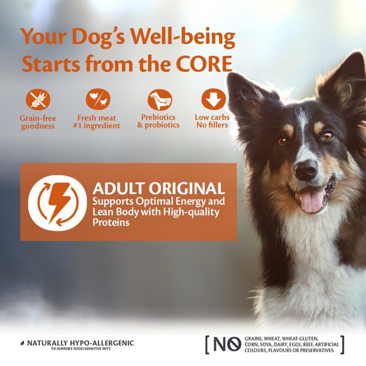 Wellness CORE Dog Dry Adult Original - Turkey with Chicken Recipe 10kg