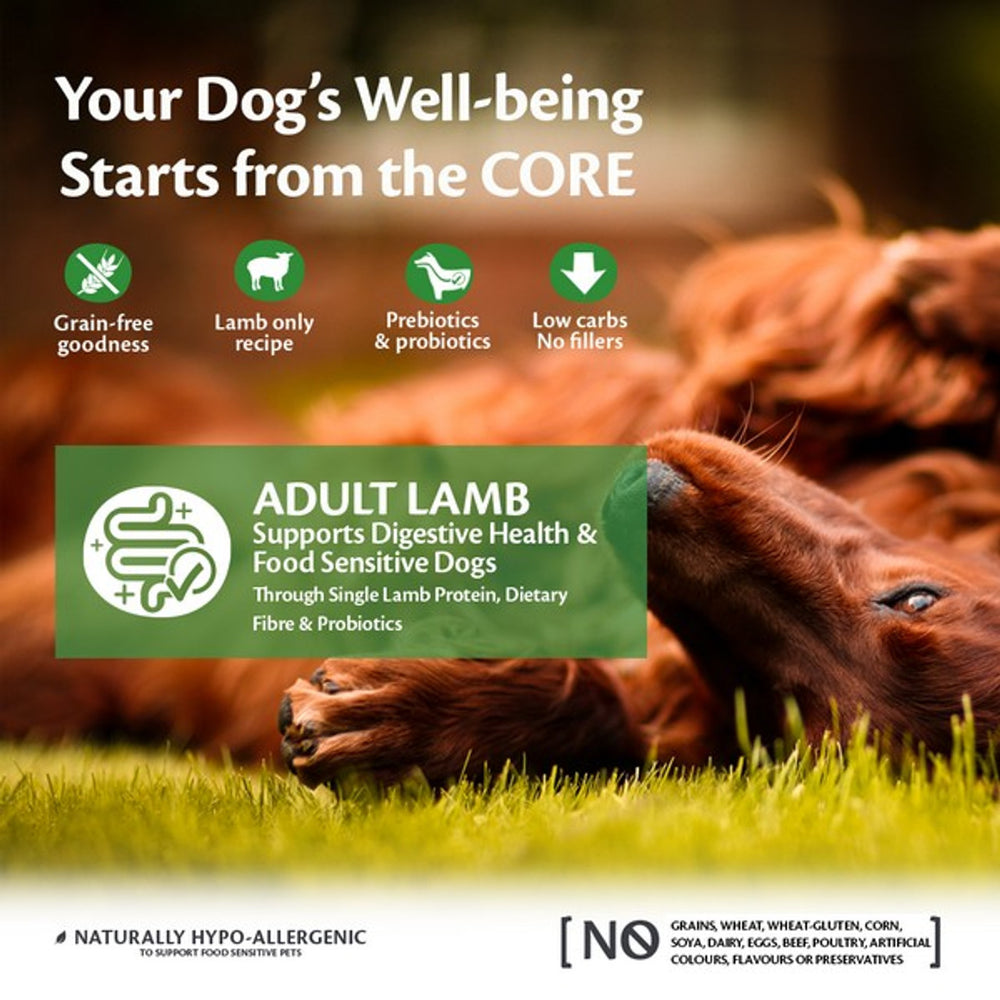 
                  
                    Wellness CORE Dog Dry Adult Lamb - Lamb Recipe 10kg
                  
                