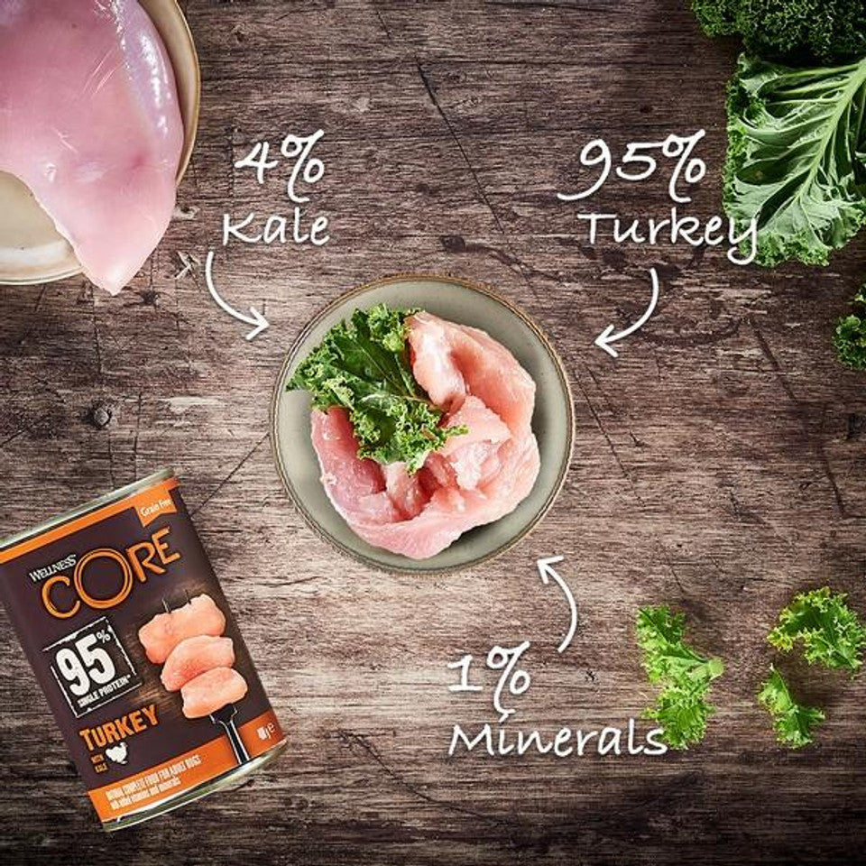 Wellness CORE Dog Wet 95% Single Protein Turkey with Kale Recipe 6 x 400g