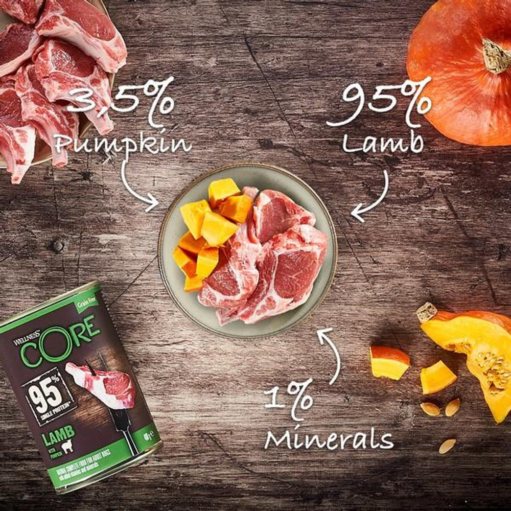 Wellness CORE Dog Wet 95% Single Protein Lamb with Pumpkin Recipe 6 x 400g