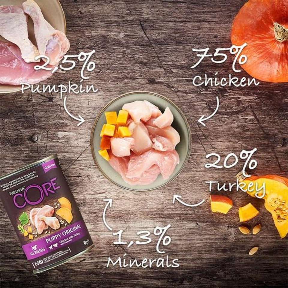 Wellness CORE Dog Wet PUPPY Duo Protein Chicken with Turkey with Pumpkin Recipe 6 x 400g