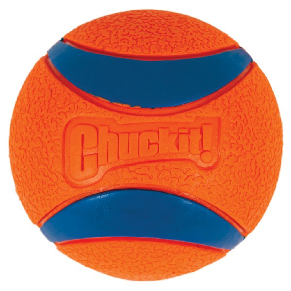 
                  
                    Chuckit! Ultra Ball (1Pk) Extra Large 9cm
                  
                