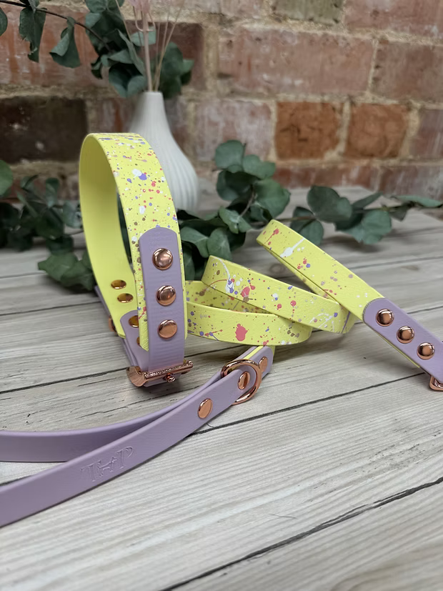 Waterproof Pastel Splatter Collection - Lemon & Lilac BioThane Dog Collar