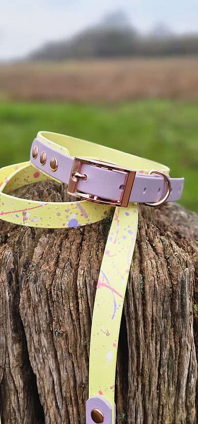 
                  
                    Waterproof Pastel Splatter Collection - Lemon &amp; Lilac BioThane Dog Lead
                  
                