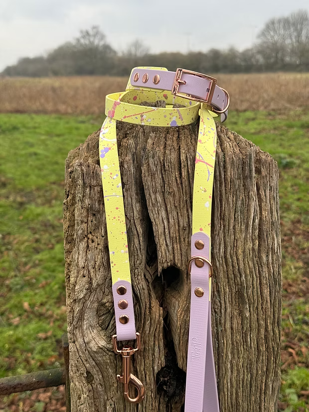 Waterproof Pastel Splatter Collection - Lemon &amp; Lilac BioThane Dog Lead