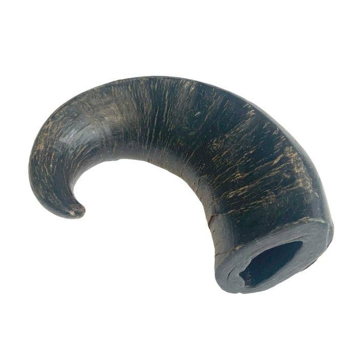 Buffalo Horn Jumbo