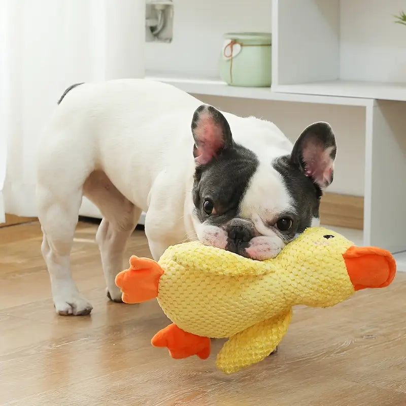 Yellow soft Duck Toy