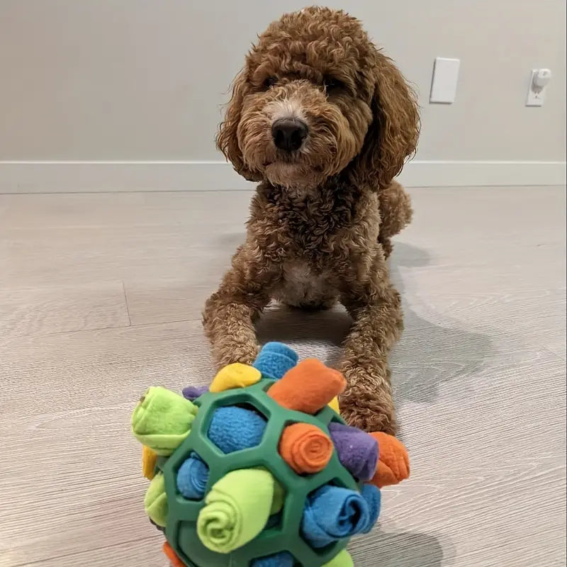 
                  
                    Dog Toy Snuffle Ball
                  
                