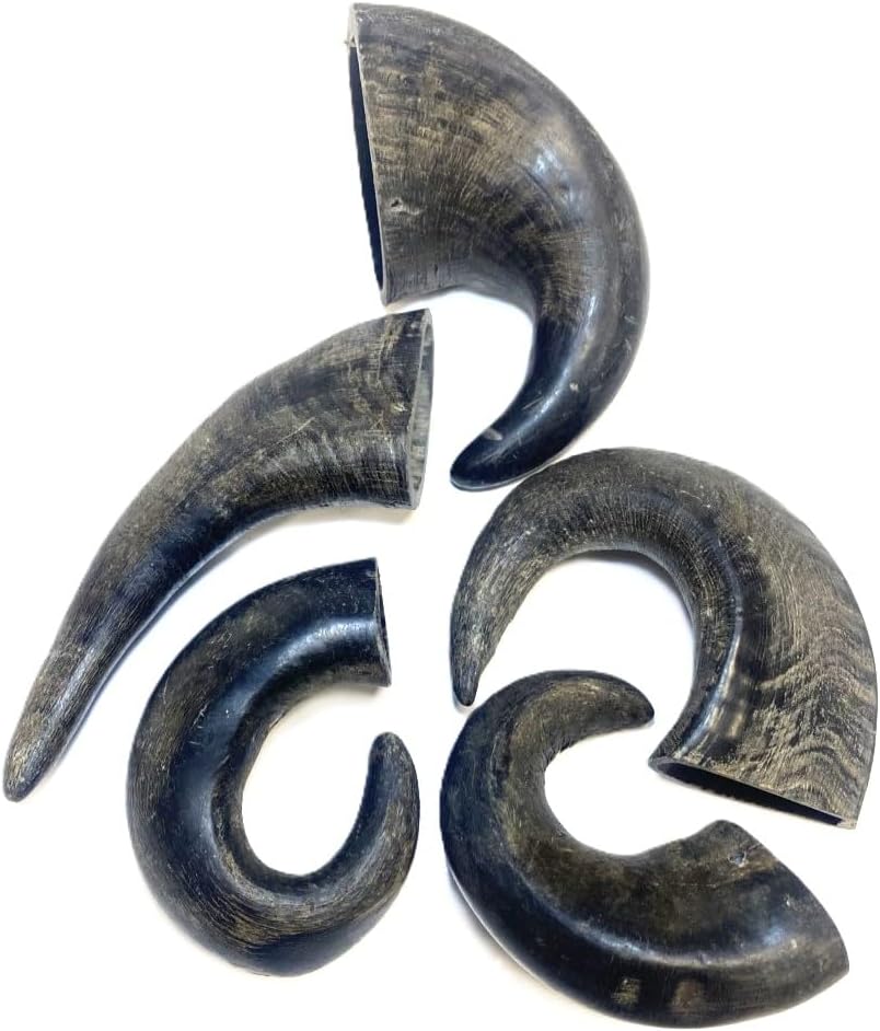 Large Buffalo Horn Single
