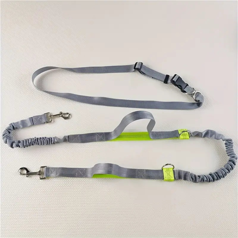 Bungee Dog Lead with Waist strap Grey