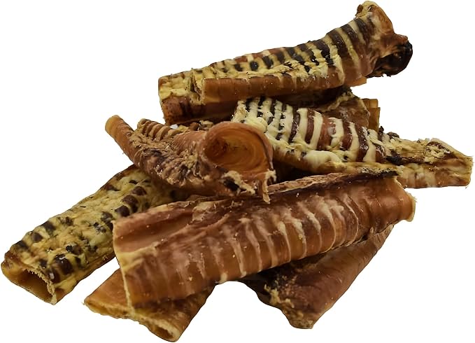 Buffalo Trachea