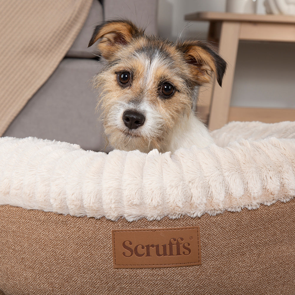 Scruffs Ellen Donut Bed