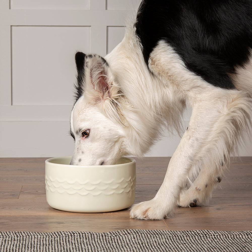 Scruffs Icon Food Bowl