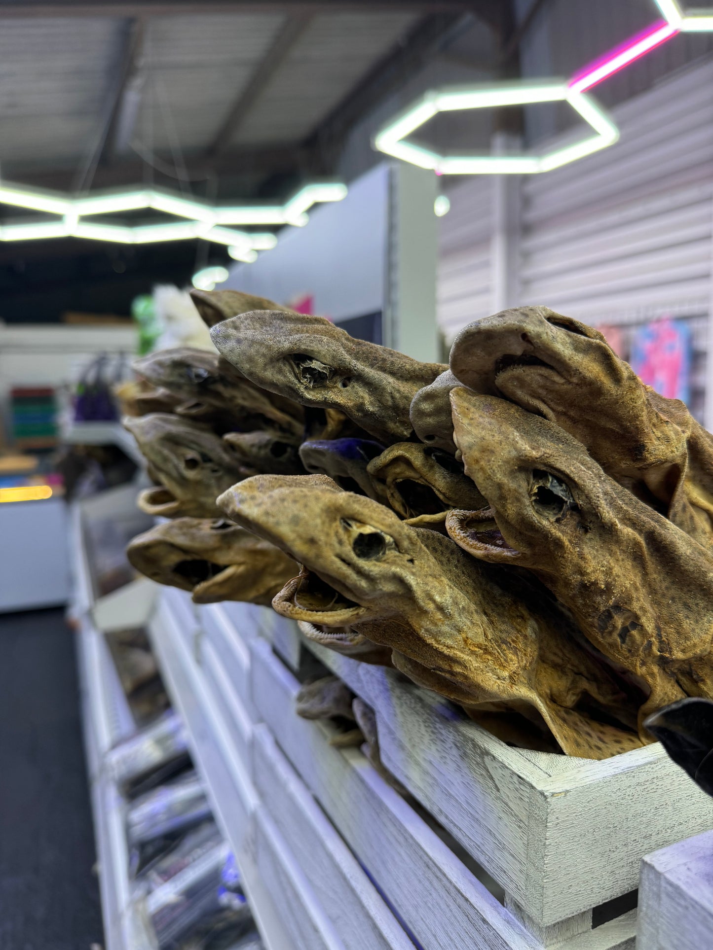 Shark Dog Fish Dried Treat