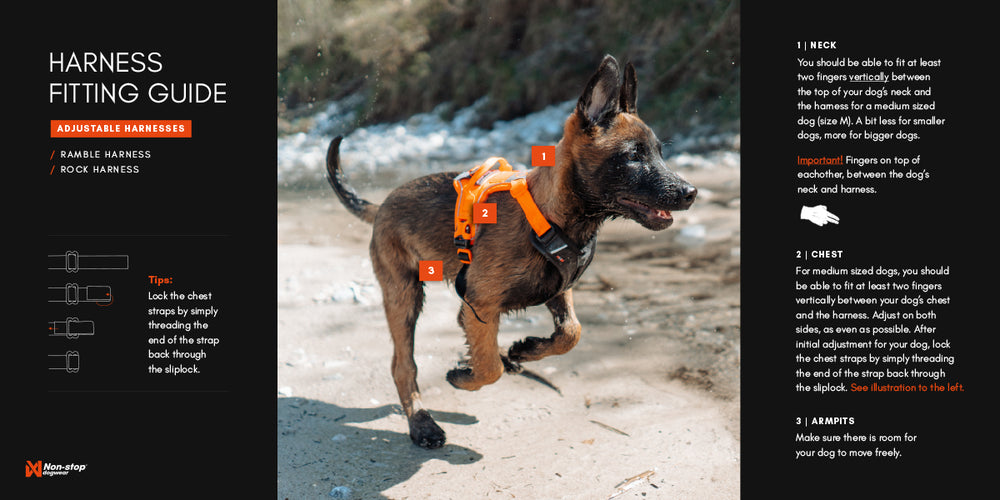 
                  
                    Non-stop dogwear Ramble Harness
                  
                
