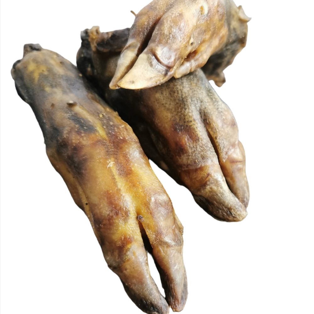 Wild Boar Leg