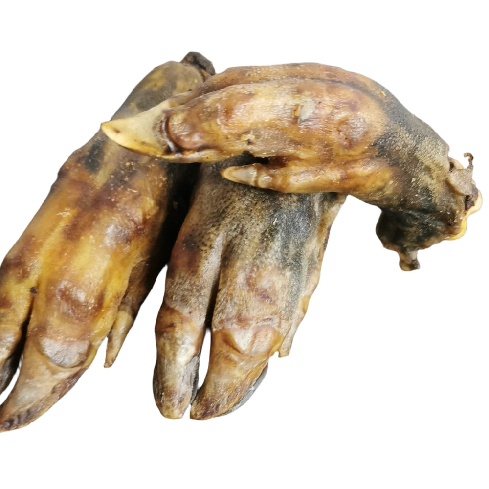 Wild Boar Leg