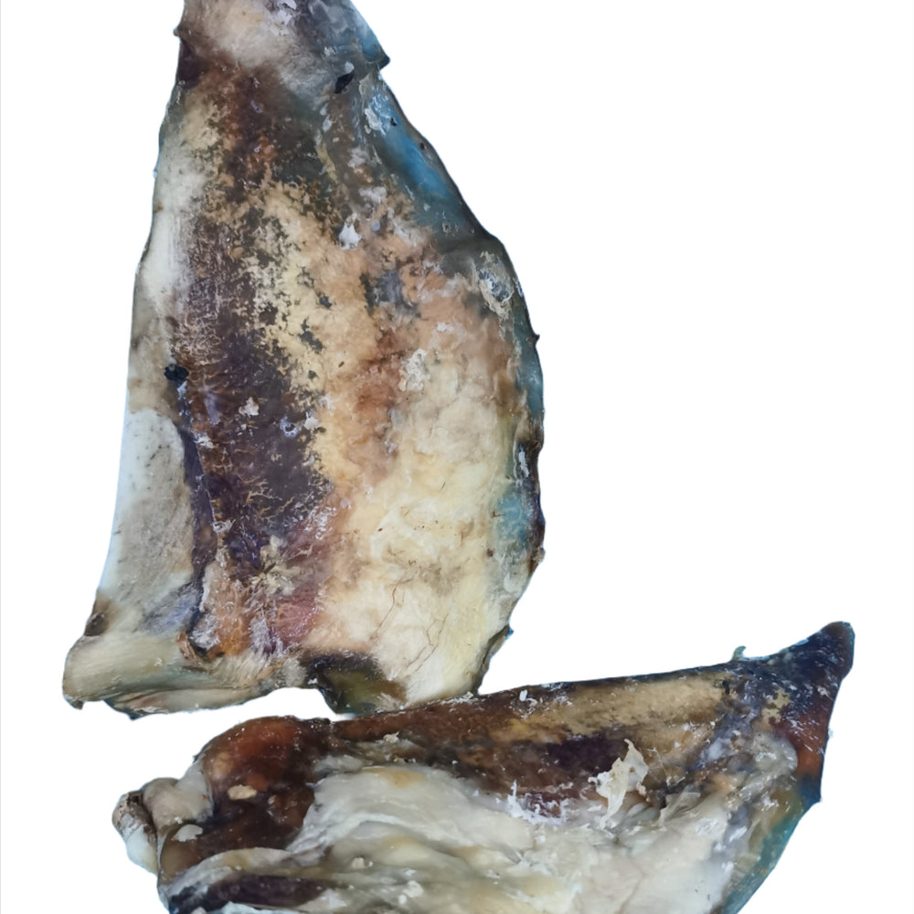 Beef Moon Bone Single Piece