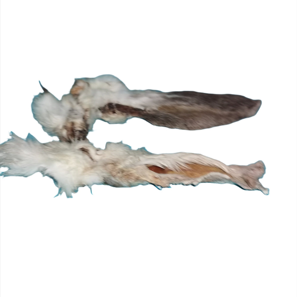 Hairy Rabbit Ears Single