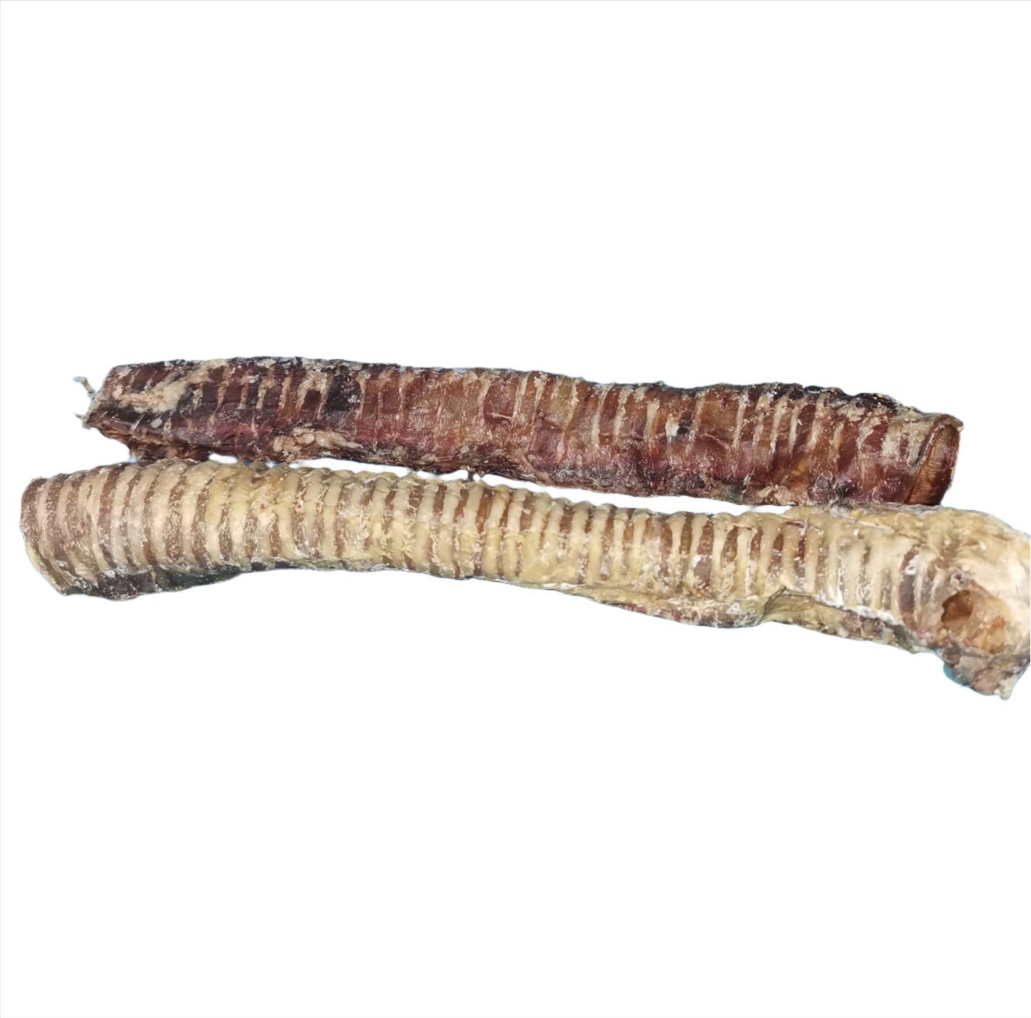 Beef Trachea  (Long 35cm)