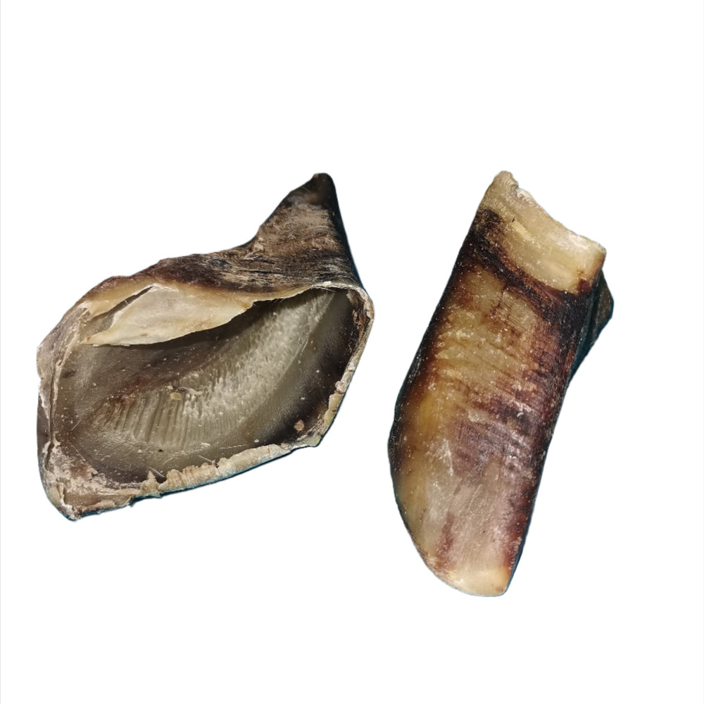 Cow Hoof Single