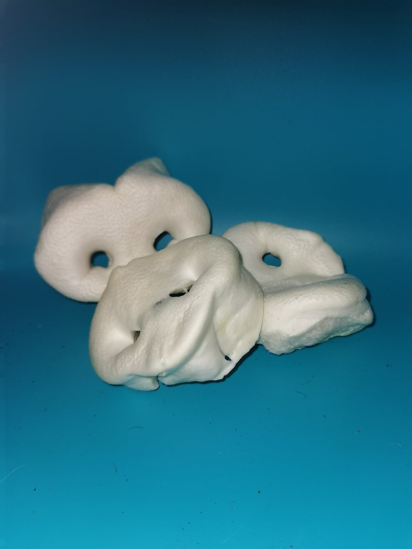 Air Dried Pig Puffed Snout