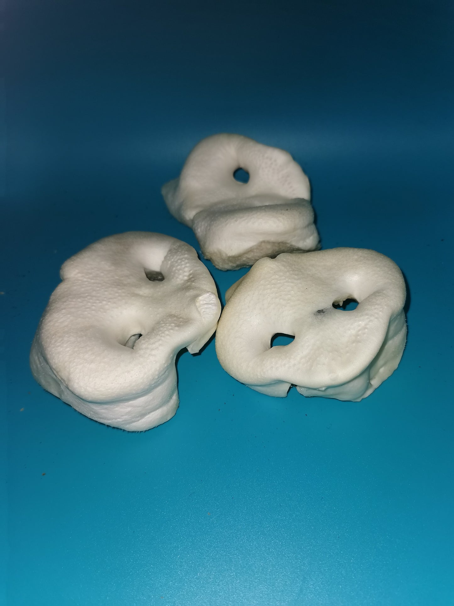 Air Dried Pig Puffed Snout