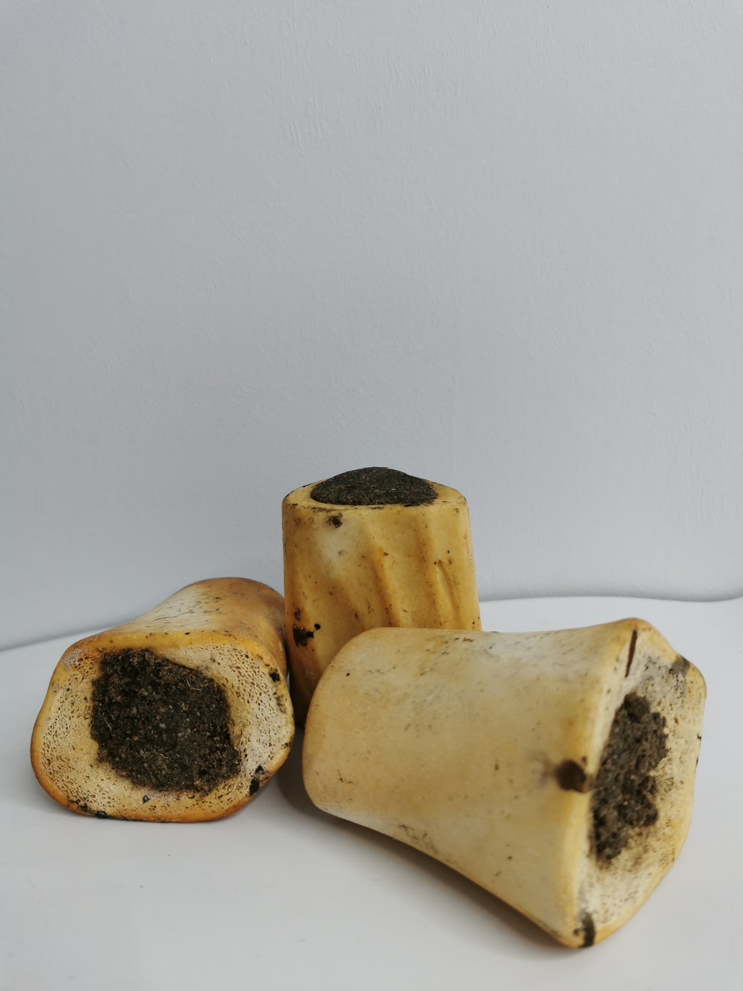 Smoked angus Beef bones