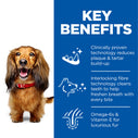 Hill's™ SCIENCE PLAN™ Specialty Adult Oral Care Dry Dog Food with Chicken