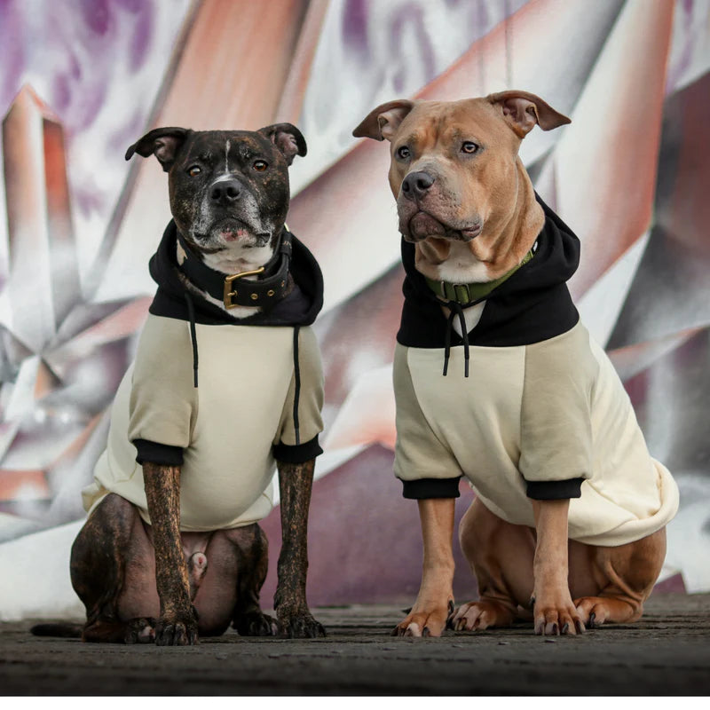 
                  
                    Olive Cream Dog Hoodie
                  
                