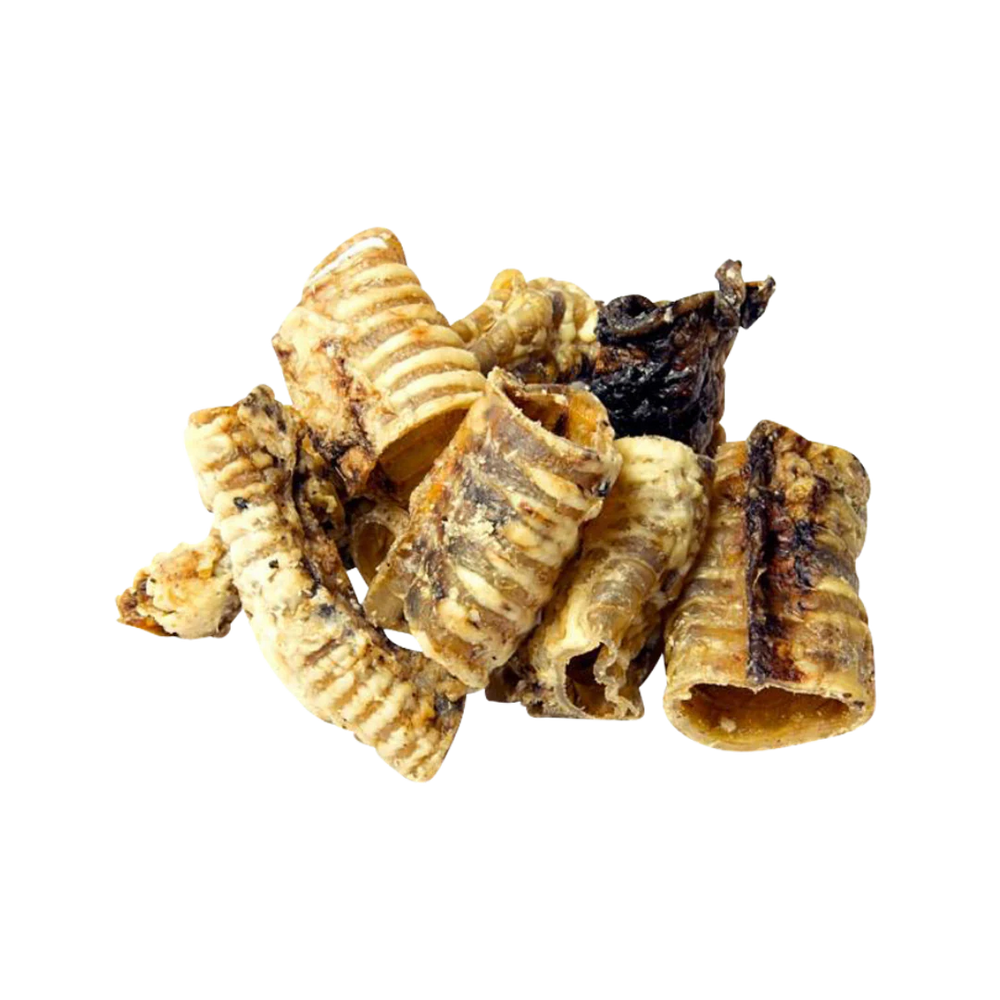 Beef Trachea (Short 5-10cm)