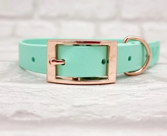 Waterproof BioThane  Dog Collar- Seafoam