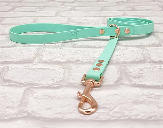 Waterproof BioThane  Dog Lead - Seafoam