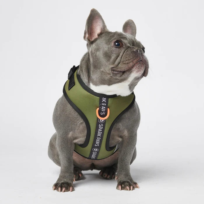 
                  
                    Ultra Soft Activewear Dog Harness - Green
                  
                