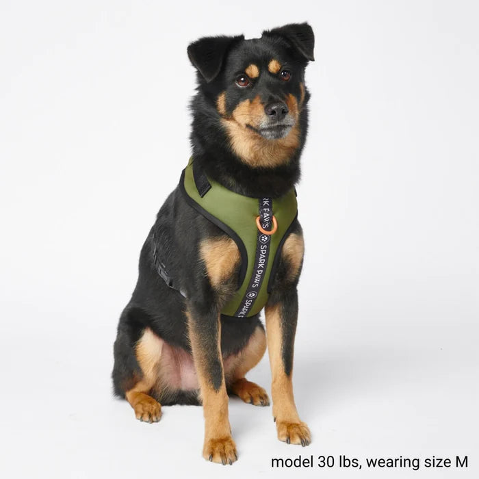
                  
                    Ultra Soft Activewear Dog Harness - Green
                  
                