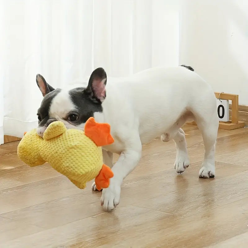 Yellow soft Duck Toy