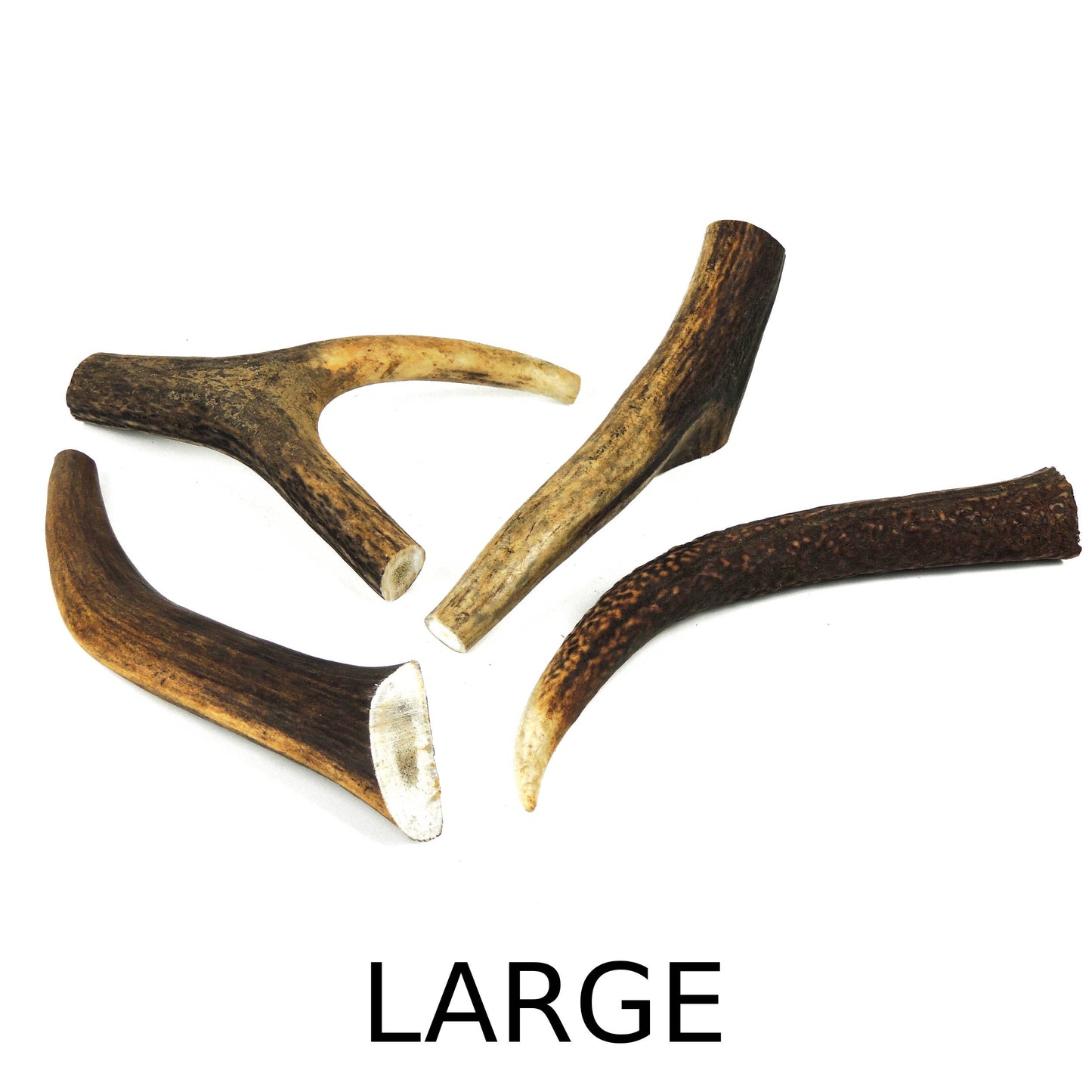 Deer Antler Large - 100 to 150g