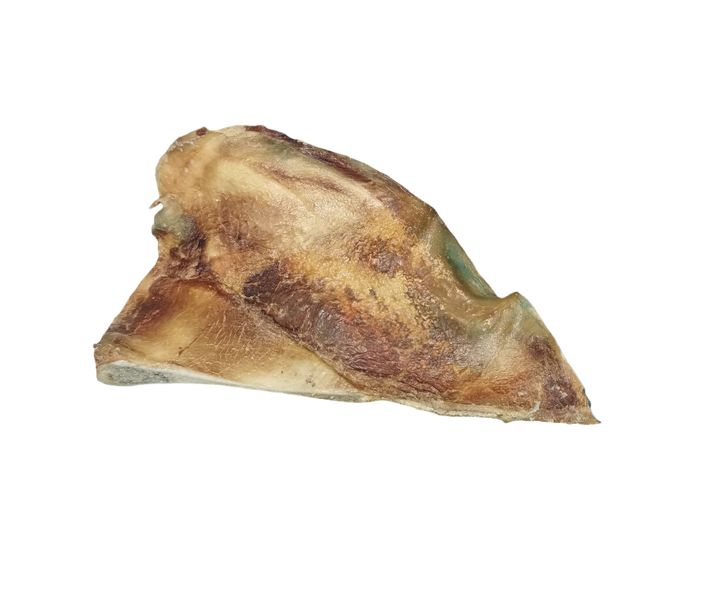 Moonbone Beef Beef Moon Bone Single Piece – Pegasus Pets (PUP’S)