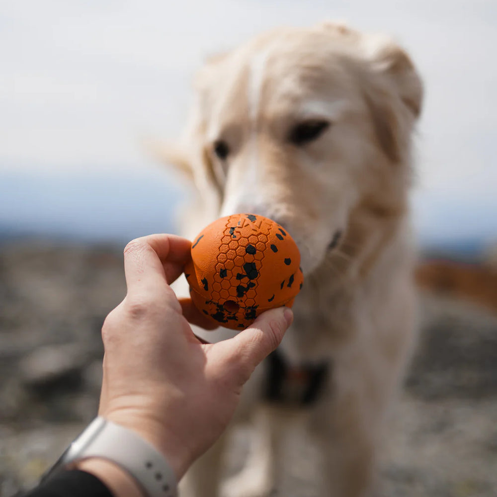 
                  
                    Non-Stop Dog ball 70mm
                  
                