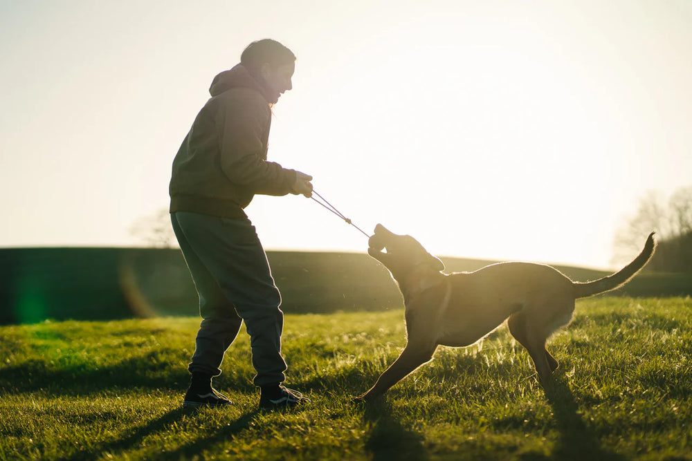 
                  
                    Non-Stop Dog ball on rope
                  
                