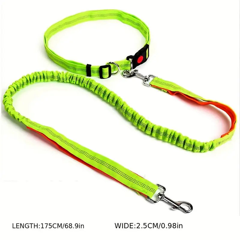 Bungee Dog Lead with Waist strap