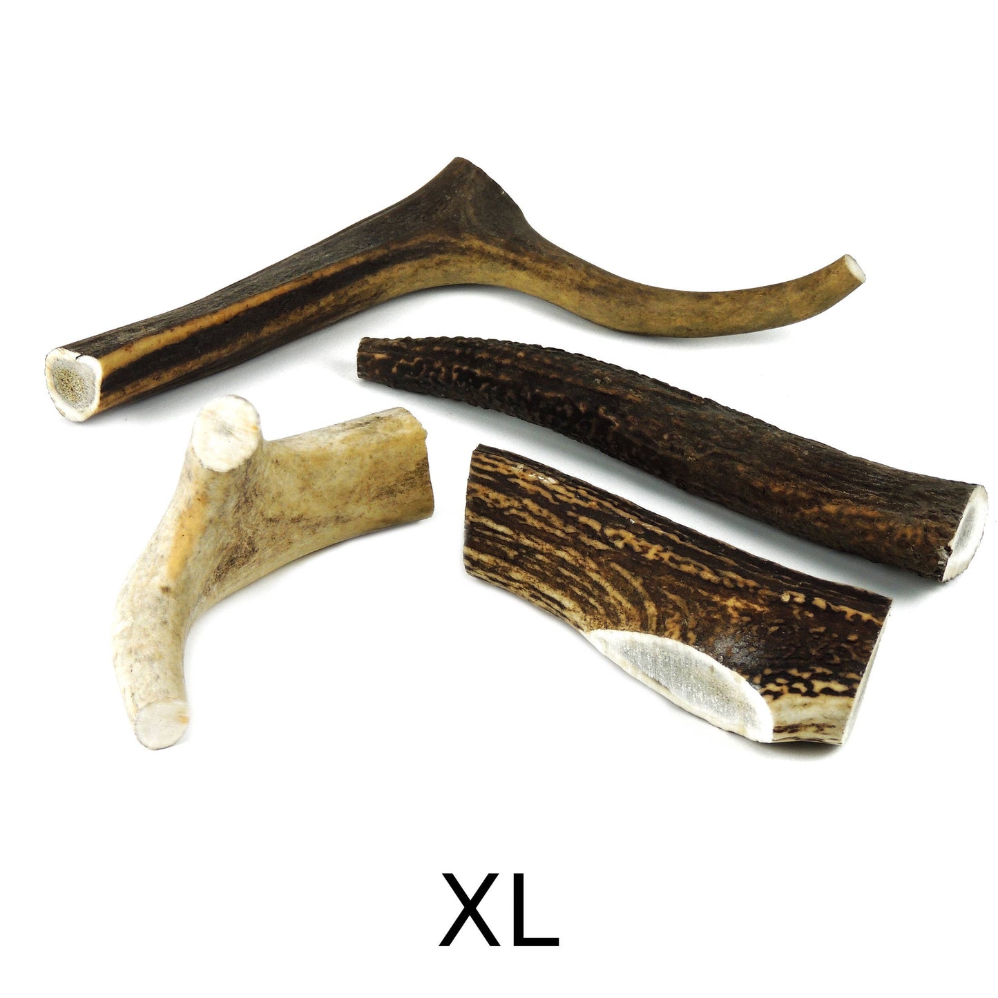 Deer Antler XL - 150 to 200g
