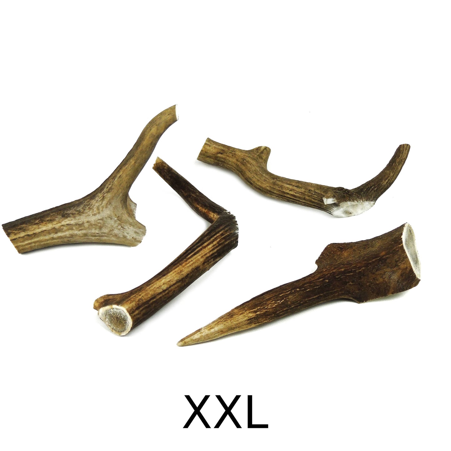 Deer Antler XXL - 200 to 250g